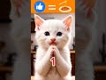 Kitten wants spaghetti 🍝😿 #cat #kitten #cute Tiếng Indonesia