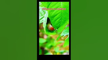 Hardwork never fails #hardwork #viral #best #motivational video #trending #short