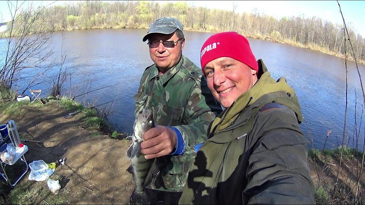 Ловля чехони на волге