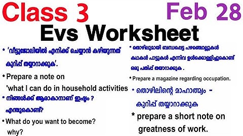 Class 3 Evs Worksheet Feb 28| Std 3 Evs Worksheet | 3 class evs worksheet | class 3  victers channel