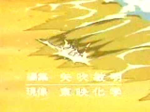 イルカと少年 Ed Youtube