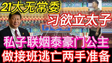 21大不设常委 习欲立私生子 | 联姻泰国豪门 做接班、逃亡两手准备