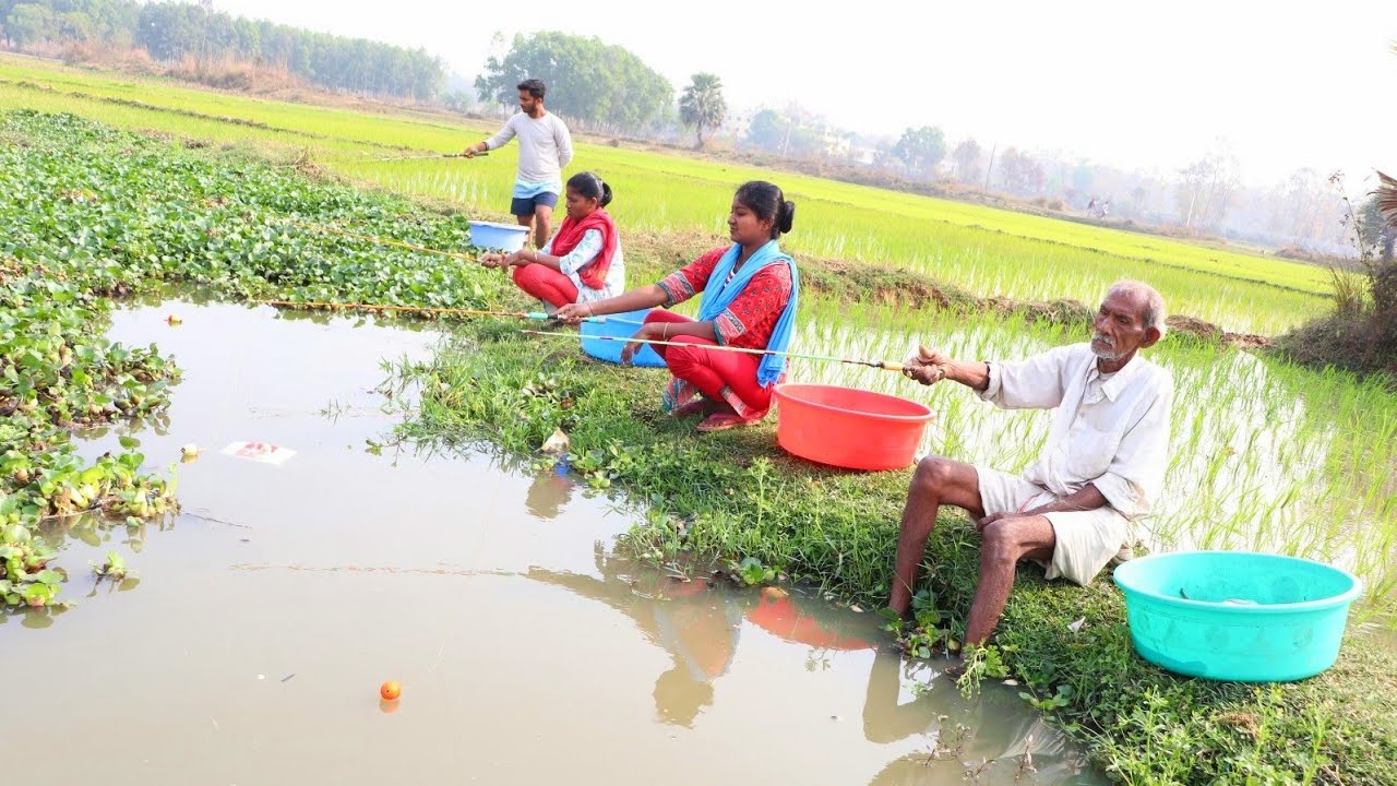 Fishing Video || Grandfather is training three fishermen to fishing in the field canal || Hook trap
