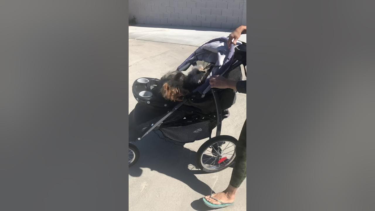 DIY dog stroller conversion easy YouTube