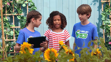 Help Protect the Bobolink