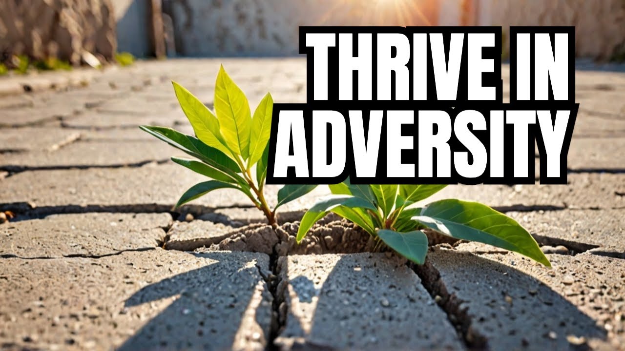 Grow Where You're Planted - The Secret to Thriving in Adversity