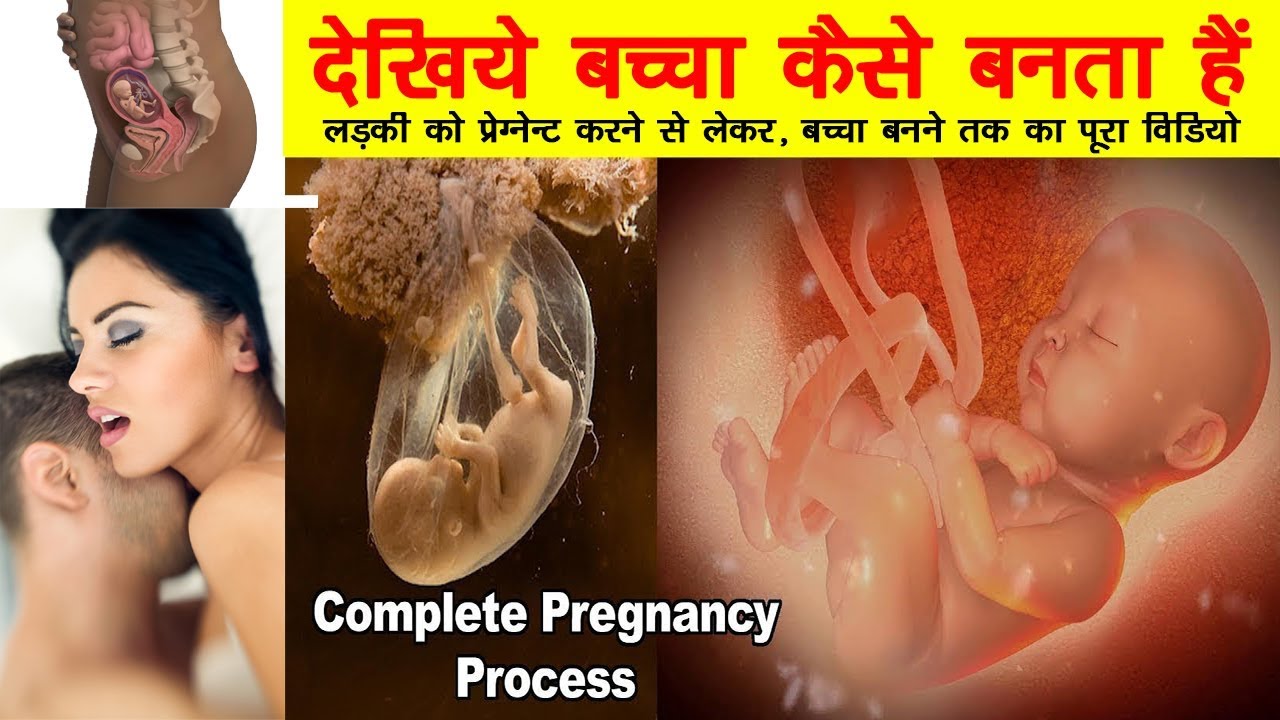 Aurat Bachcha Kaise Deti Hai Xnx - à¤¬à¤šà¥à¤šà¤¾ à¤•à¥ˆà¤¸à¥‡ à¤¬à¤¨à¤¤à¤¾ à¤¹à¥ˆ à¤¦à¥‡à¤–à¤¿à¤¯à¥‡! How a Woman Gets Pregnant By a Man || - YouTube