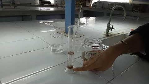 Practical 2: To determine swelling index of given known crude drug (isapgol seed)