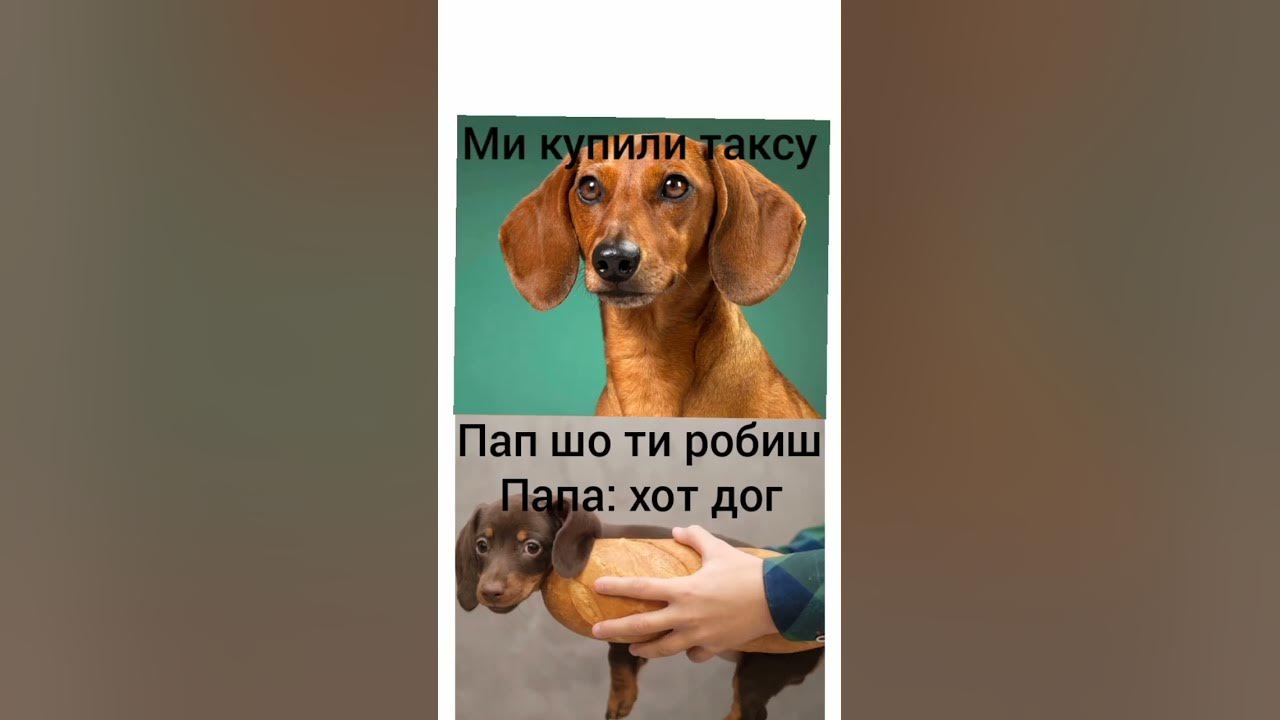 мем такса - YouTube