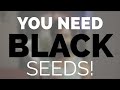 Why add black seed oil to your diet??