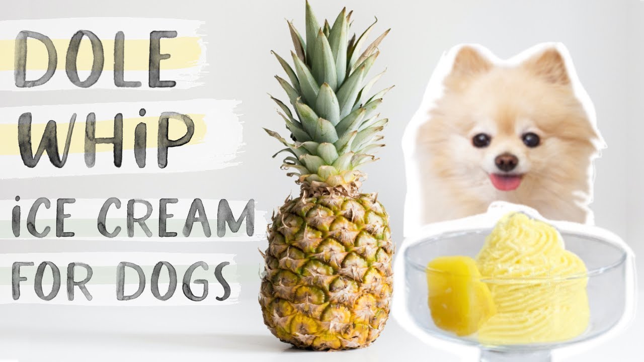 Can Dogs Eat Pineapple Ice Cream