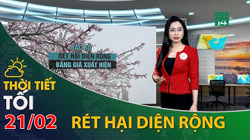Thời tiết tối và đêm 21/02/2022:Bắc Bộ tiết trời rét đậm rét hại trên diện rộng| VTC14