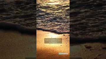 Qual o significado de misto de sentimentos?