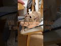 My cat makes every day better. 猫は毎日を癒してくれる😊 #catvideos #cat #ちゃちゃまる #猫 #猫動画#shorts #cute