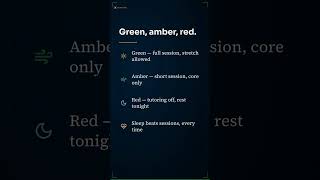 The Green-Amber-Red Energy Protocol: How the Mentor Decides Whether a Session Happens #Shorts