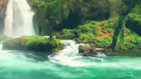 قراءة سورة الملك قبل النوم تنجي من عذاب القبر 🍀🌿🌹🥀