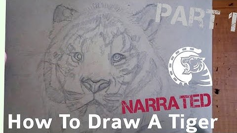 Tutorial: How To Draw A Tiger (Narrated) Part 1