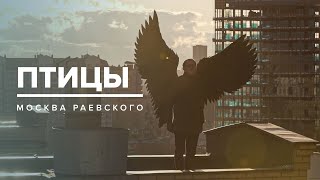 ПТИЦЫ | История Москвы - Москва Раевского
