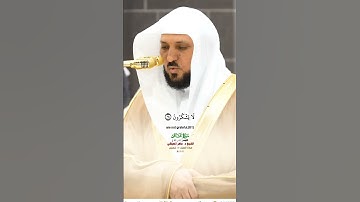 الله الذي جعل لكم الليل لتسكنوا فيه_سورة غافر_صلاة العشاء 10 شعبان 1446هـ_الشيخ  د. ماهر المعيقلي