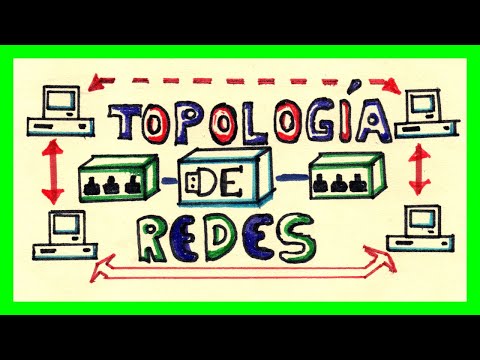 Video: ¿Cuántos tipos de topologías hay?