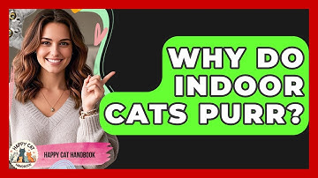 Why Do Indoor Cats Purr? | Happy Cat Handbook