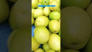 161. Anipur Farmer