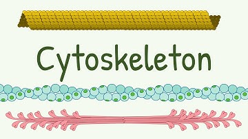 Cell Cytoskeleton Structure & Functions || Microtubules || Thin, Thick and Intermediate Filaments