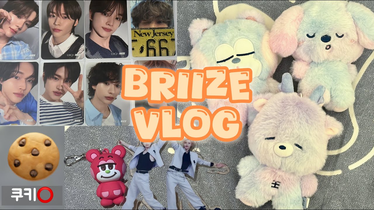 [브리즈 브이로그] 애들🌎투어 다닐때 전 물욕 채웁니다🙂‍↕️  | 택배깡 | 라이즈 | 브리즈 | 숕프｜덕질로그 | RIIZE | BRIIZE
