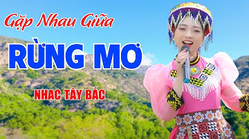 Gặp Nhau Giữa Rừng Mơ, Nổi Lửa Lên Em - LK Nhạc Tây Bắc Ngọt Ngào Vang Khắp Núi Rừng - Ngọc Khánh