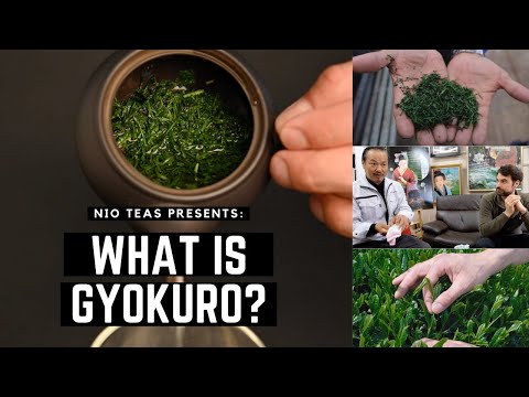 Video: ¿El gyokuro tiene cafeína?