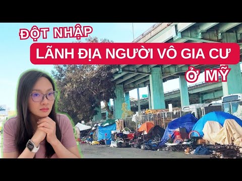 Video: Nơi Tìm Vỏ Sò ở Florida