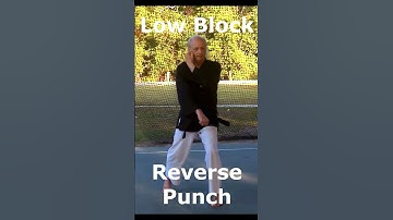 Karate Basics - Low Block, Reverse Punch