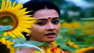 Kannukkul Nooru Nilava | S. P. Balasubrahmanyam, K. S. Chithra | Superhit Tamil Movie Song HD