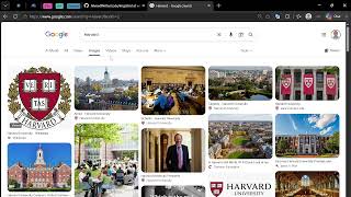 CS50W Project 0: Google Search Demo