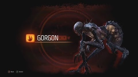Evolve : Gorgon Basic and Advanced Tutorials