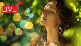 Harness Pure Positive Energy: Reiki Meditation Music for Transformation
