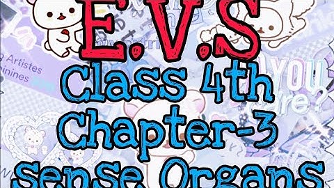 Class 4th Chapter-3 Taking care of Yourself