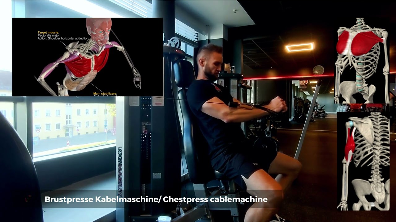 Brustpresse Kabelmaschine/ Chestpress cablemachine - Anatomie und Ausführung