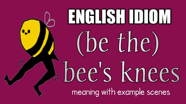 English idiom : ( be the) bee's knees | Meaning and  example scenes