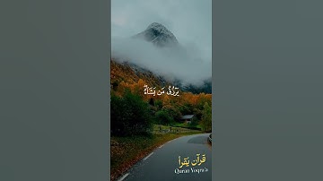 الله لطيف بعباده #سورة_الشورى #القرآن_الكريم #ماهر_المعيقلي #اكسبلور #راحة_نفسية #لايك #تلاوة_خاشعة