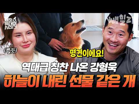 "A gift from heaven"🪽 Kang Hyung-wook gives all-time high praise to a smart Golden Retriever👏 | #...