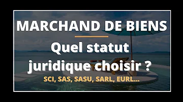 Quel statut pour être marchand de biens ?