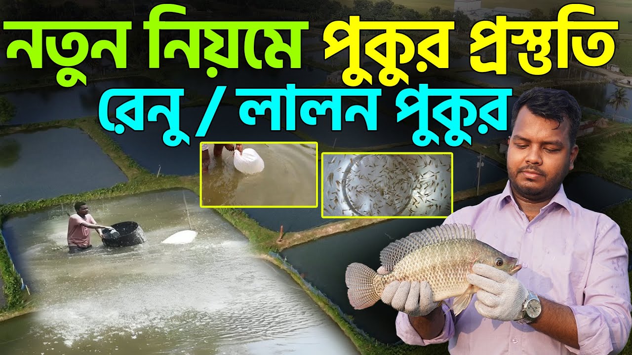 পোনা ছাড়ার জন্য পুকুর প্রস্তুতি || রেনু এবং লালন পুকুর || Pond Preparation || Shakib AGRO