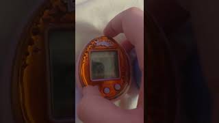 My #tamagotchi gets married to Mametchi!