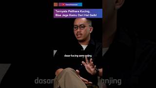 CATS CAN PROTECT YOU FROM THE SUPERNATURAL!! @deryginanjarw #sahabatbicara #catlovers #doglovers