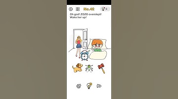 Wake up zozo | brain is solution | level 42 |