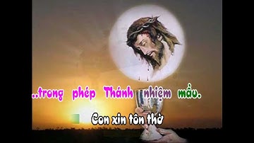 Chúa Yêu Thương - demo - http://songvui.org