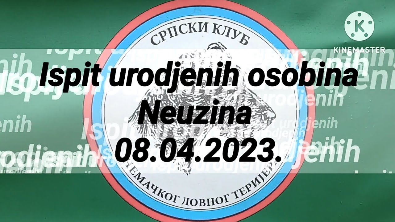 Ispit urođenih osobina ,, Srpski klub Nemačkog lovnog terijera" 08.04.2023.