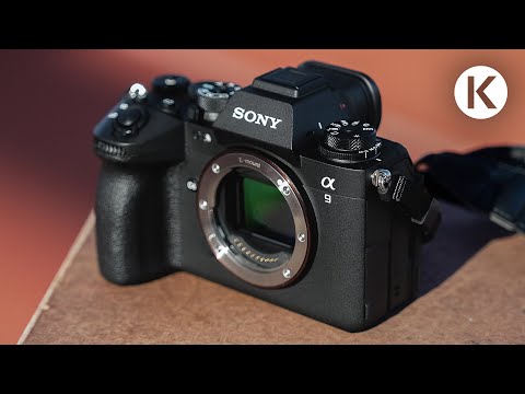 Die Zukunft der Vollformatkameras? Sony Alpha 9 III Hands-On #sony #globalshutter