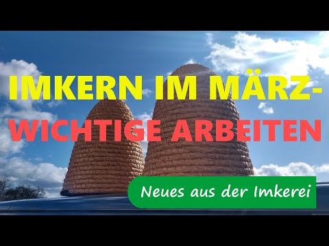 Bienen im März / Auswintern von Bienenvölkern - Neues aus der Imkerei